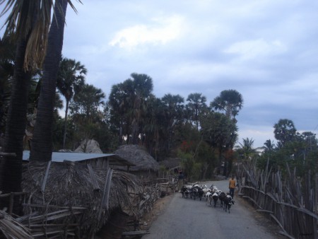 Viagem Quelicai - Baucau; @2012